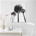 Picture of Palm Trees  _GroupedProduct_Rectangle_Portrait_Photography _GroupedProduct_Rectangle_Portrait_Unframed_Print_Only_