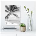 Picture of Palm Trees II _GroupedProduct_Rectangle_Portrait_Photography _GroupedProduct_Rectangle_Portrait_Unframed_Print_Only_