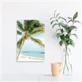 Picture of Palm Trees II _GroupedProduct_Rectangle_Portrait_Photography _GroupedProduct_Rectangle_Portrait_Unframed_Print_Only_