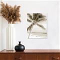 Picture of Palm Trees II _GroupedProduct_Rectangle_Portrait_Photography _GroupedProduct_Rectangle_Portrait_Unframed_Print_Only_