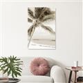 Picture of Palm Trees II _GroupedProduct_Rectangle_Portrait_Photography _GroupedProduct_Rectangle_Portrait_Unframed_Print_Only_