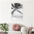Picture of Palm Trees II _GroupedProduct_Rectangle_Portrait_Photography _GroupedProduct_Rectangle_Portrait_Unframed_Print_Only_