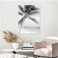 Picture of Palm Trees II _GroupedProduct_Rectangle_Portrait_Photography _GroupedProduct_Rectangle_Portrait_Unframed_Print_Only_