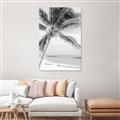 Picture of Palm Trees II _GroupedProduct_Rectangle_Portrait_Photography _GroupedProduct_Rectangle_Portrait_Unframed_Print_Only_