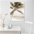 Picture of Palm Trees II _GroupedProduct_Rectangle_Portrait_Photography _GroupedProduct_Rectangle_Portrait_Unframed_Print_Only_