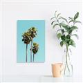 Picture of Palm Trees III _GroupedProduct_Rectangle_Portrait_Photography _GroupedProduct_Rectangle_Portrait_Unframed_Print_Only_