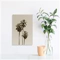 Picture of Palm Trees III _GroupedProduct_Rectangle_Portrait_Photography _GroupedProduct_Rectangle_Portrait_Unframed_Print_Only_