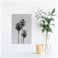 Picture of Palm Trees III _GroupedProduct_Rectangle_Portrait_Photography _GroupedProduct_Rectangle_Portrait_Unframed_Print_Only_