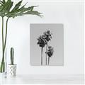 Picture of Palm Trees III _GroupedProduct_Rectangle_Portrait_Photography _GroupedProduct_Rectangle_Portrait_Unframed_Print_Only_