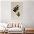 Picture of Palm Trees III _GroupedProduct_Rectangle_Portrait_Photography _GroupedProduct_Rectangle_Portrait_Unframed_Print_Only_