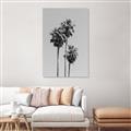 Picture of Palm Trees III _GroupedProduct_Rectangle_Portrait_Photography _GroupedProduct_Rectangle_Portrait_Unframed_Print_Only_