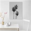 Picture of Palm Trees III _GroupedProduct_Rectangle_Portrait_Photography _GroupedProduct_Rectangle_Portrait_Unframed_Print_Only_
