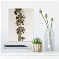 Picture of Palm Trees IV _GroupedProduct_Rectangle_Portrait_Photography _GroupedProduct_Rectangle_Portrait_Unframed_Print_Only_