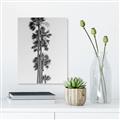 Picture of Palm Trees IV _GroupedProduct_Rectangle_Portrait_Photography _GroupedProduct_Rectangle_Portrait_Unframed_Print_Only_