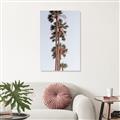 Picture of Palm Trees IV _GroupedProduct_Rectangle_Portrait_Photography _GroupedProduct_Rectangle_Portrait_Unframed_Print_Only_