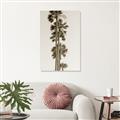 Picture of Palm Trees IV _GroupedProduct_Rectangle_Portrait_Photography _GroupedProduct_Rectangle_Portrait_Unframed_Print_Only_