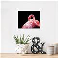 Picture of Pink in Contrast  _GroupedProduct_Rectangle_Landscape_Photography _GroupedProduct_Rectangle_Landscape_Unframed_Print_Only_