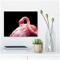 Picture of Pink in Contrast  _GroupedProduct_Rectangle_Landscape_Photography _GroupedProduct_Rectangle_Landscape_Unframed_Print_Only_
