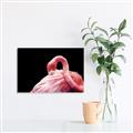 Picture of Pink in Contrast  _GroupedProduct_Rectangle_Landscape_Photography _GroupedProduct_Rectangle_Landscape_Unframed_Print_Only_
