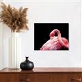 Picture of Pink in Contrast  _GroupedProduct_Rectangle_Landscape_Photography _GroupedProduct_Rectangle_Landscape_Unframed_Print_Only_