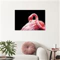 Picture of Pink in Contrast  _GroupedProduct_Rectangle_Landscape_Photography _GroupedProduct_Rectangle_Landscape_Unframed_Print_Only_