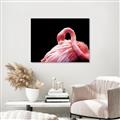 Picture of Pink in Contrast  _GroupedProduct_Rectangle_Landscape_Photography _GroupedProduct_Rectangle_Landscape_Unframed_Print_Only_