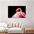Picture of Pink in Contrast  _GroupedProduct_Rectangle_Landscape_Photography _GroupedProduct_Rectangle_Landscape_Unframed_Print_Only_