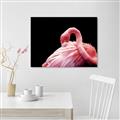 Picture of Pink in Contrast  _GroupedProduct_Rectangle_Landscape_Photography _GroupedProduct_Rectangle_Landscape_Unframed_Print_Only_