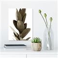 Picture of Plant Life _GroupedProduct_Rectangle_Portrait_Photography _GroupedProduct_Rectangle_Portrait_Unframed_Print_Only_