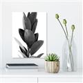Picture of Plant Life _GroupedProduct_Rectangle_Portrait_Photography _GroupedProduct_Rectangle_Portrait_Unframed_Print_Only_