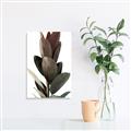 Picture of Plant Life _GroupedProduct_Rectangle_Portrait_Photography _GroupedProduct_Rectangle_Portrait_Unframed_Print_Only_
