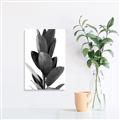 Picture of Plant Life _GroupedProduct_Rectangle_Portrait_Photography _GroupedProduct_Rectangle_Portrait_Unframed_Print_Only_