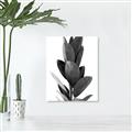 Picture of Plant Life _GroupedProduct_Rectangle_Portrait_Photography _GroupedProduct_Rectangle_Portrait_Unframed_Print_Only_