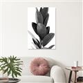 Picture of Plant Life _GroupedProduct_Rectangle_Portrait_Photography _GroupedProduct_Rectangle_Portrait_Unframed_Print_Only_
