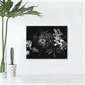 Picture of Romantic Bloom _GroupedProduct_Rectangle_Landscape_Photography _GroupedProduct_Rectangle_Landscape_Unframed_Print_Only_