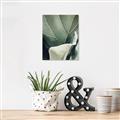 Picture of Sage Leaves  _GroupedProduct_Rectangle_Portrait_Photography _GroupedProduct_Rectangle_Portrait_Unframed_Print_Only_