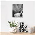 Picture of Sage Leaves  _GroupedProduct_Rectangle_Portrait_Photography _GroupedProduct_Rectangle_Portrait_Unframed_Print_Only_