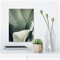 Picture of Sage Leaves  _GroupedProduct_Rectangle_Portrait_Photography _GroupedProduct_Rectangle_Portrait_Unframed_Print_Only_