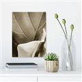 Picture of Sage Leaves  _GroupedProduct_Rectangle_Portrait_Photography _GroupedProduct_Rectangle_Portrait_Unframed_Print_Only_