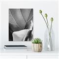Picture of Sage Leaves  _GroupedProduct_Rectangle_Portrait_Photography _GroupedProduct_Rectangle_Portrait_Unframed_Print_Only_