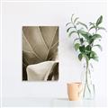 Picture of Sage Leaves  _GroupedProduct_Rectangle_Portrait_Photography _GroupedProduct_Rectangle_Portrait_Unframed_Print_Only_