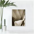 Picture of Sage Leaves  _GroupedProduct_Rectangle_Portrait_Photography _GroupedProduct_Rectangle_Portrait_Unframed_Print_Only_