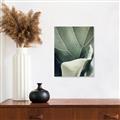 Picture of Sage Leaves  _GroupedProduct_Rectangle_Portrait_Photography _GroupedProduct_Rectangle_Portrait_Unframed_Print_Only_