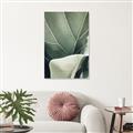 Picture of Sage Leaves  _GroupedProduct_Rectangle_Portrait_Photography _GroupedProduct_Rectangle_Portrait_Unframed_Print_Only_