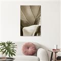 Picture of Sage Leaves  _GroupedProduct_Rectangle_Portrait_Photography _GroupedProduct_Rectangle_Portrait_Unframed_Print_Only_