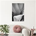 Picture of Sage Leaves  _GroupedProduct_Rectangle_Portrait_Photography _GroupedProduct_Rectangle_Portrait_Unframed_Print_Only_