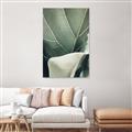 Picture of Sage Leaves  _GroupedProduct_Rectangle_Portrait_Photography _GroupedProduct_Rectangle_Portrait_Unframed_Print_Only_
