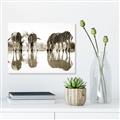 Picture of Sipping Zebras  _GroupedProduct_Rectangle_Landscape_Photography _GroupedProduct_Rectangle_Landscape_Unframed_Print_Only_