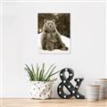 Picture of Snowy Bear _GroupedProduct_Rectangle_Portrait_Photography _GroupedProduct_Rectangle_Portrait_Unframed_Print_Only_