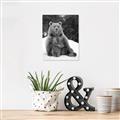Picture of Snowy Bear _GroupedProduct_Rectangle_Portrait_Photography _GroupedProduct_Rectangle_Portrait_Unframed_Print_Only_